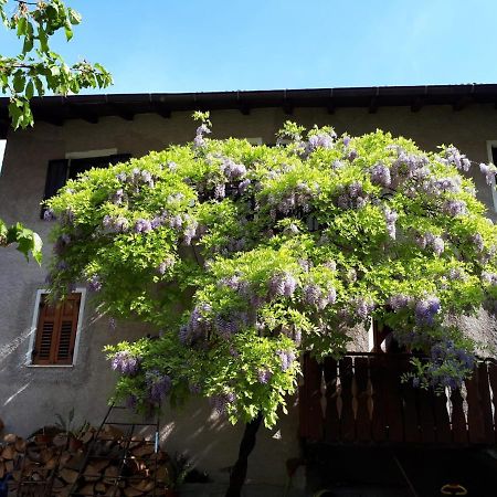 Apartament Casa Romy Rovere della Luna Zewnętrze zdjęcie